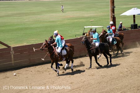 090406-Polo-0516