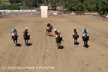 090406-Polo-0517