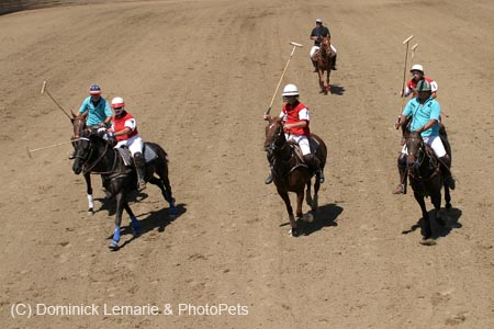 090406-Polo-0518