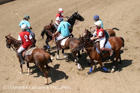 090406-Polo-0519