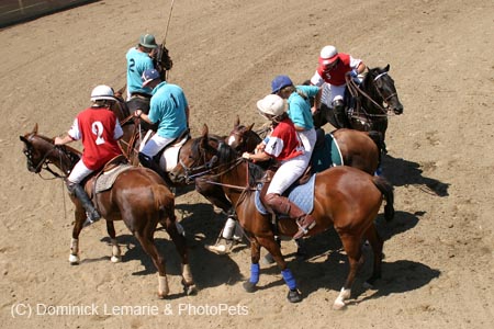 090406-Polo-0520
