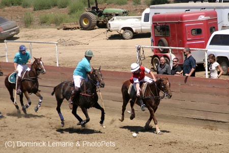 090406-Polo-0522