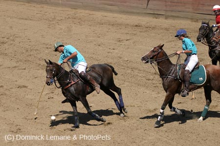 090406-Polo-0523