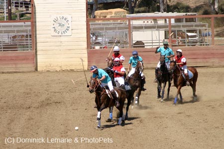 090406-Polo-0525