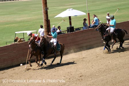 090406-Polo-0526