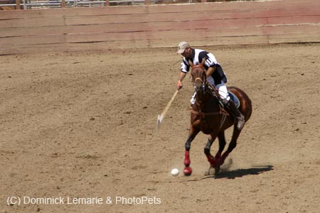 090406-Polo-0532