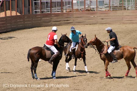 090406-Polo-0533