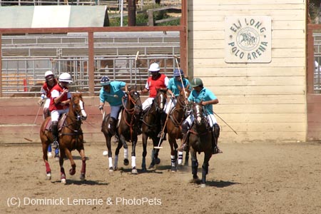 090406-Polo-0537