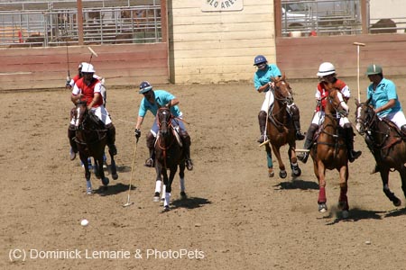 090406-Polo-0538