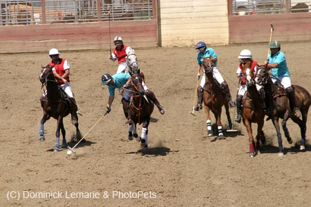 090406-Polo-0539