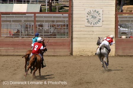 090406-Polo-0540