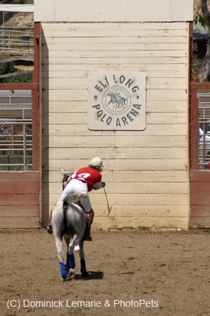 090406-Polo-0542