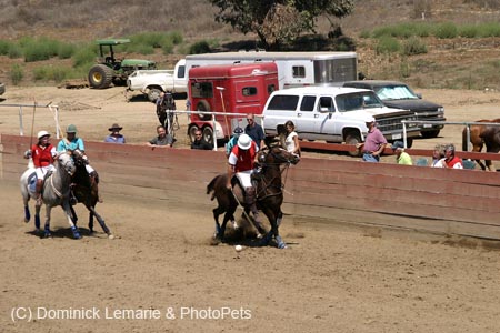 090406-Polo-0543