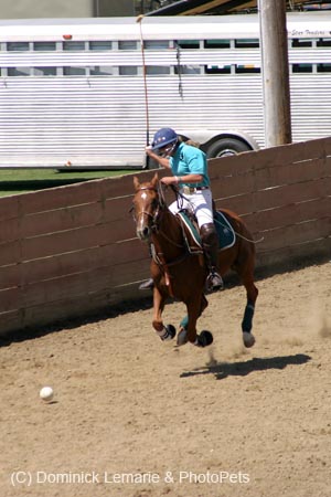 090406-Polo-0545
