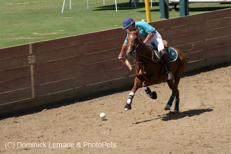 090406-Polo-0546