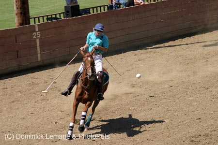 090406-Polo-0547