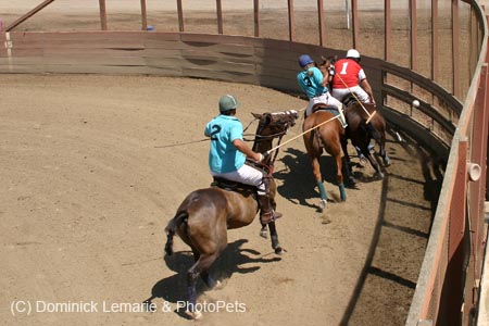 090406-Polo-0548