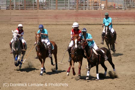 090406-Polo-0550