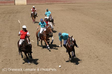 090406-Polo-0553