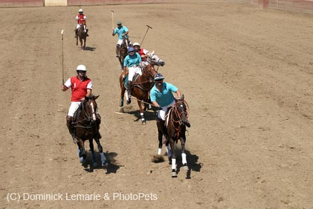 090406-Polo-0554