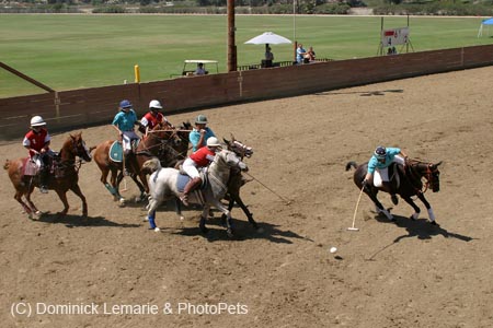 090406-Polo-0556