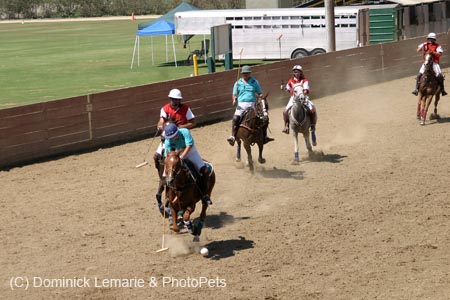 090406-Polo-0559