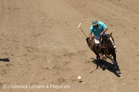 090406-Polo-0560