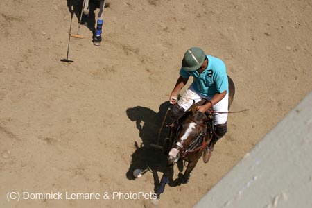 090406-Polo-0561