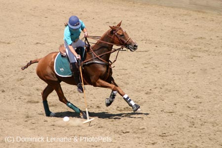090406-Polo-0562
