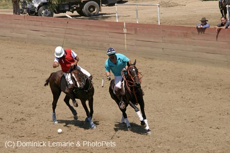 090406-Polo-0563