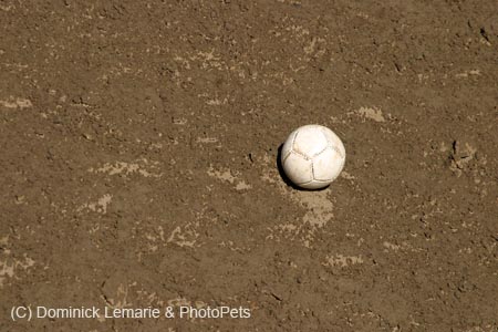 090406-Polo-0567