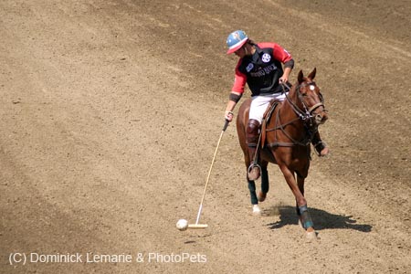 090406-Polo-0568