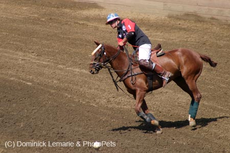 090406-Polo-0570