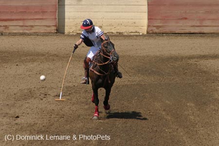 090406-Polo-0572