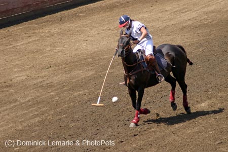 090406-Polo-0573