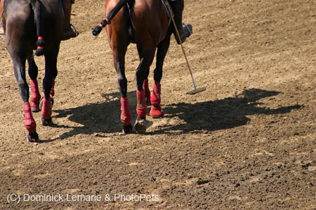090406-Polo-0574