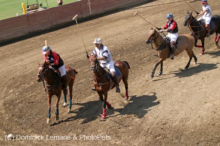 090406-Polo-0576