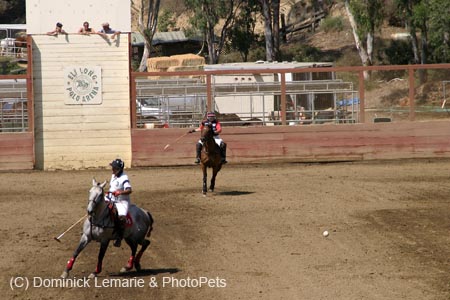 090406-Polo-0581