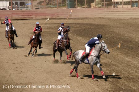 090406-Polo-0582