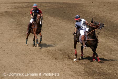 090406-Polo-0583