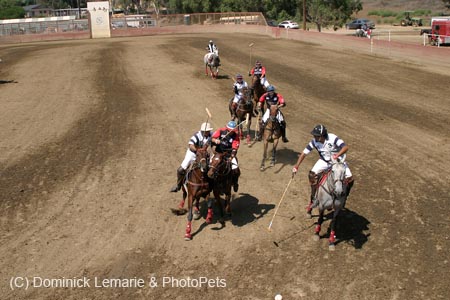 090406-Polo-0585