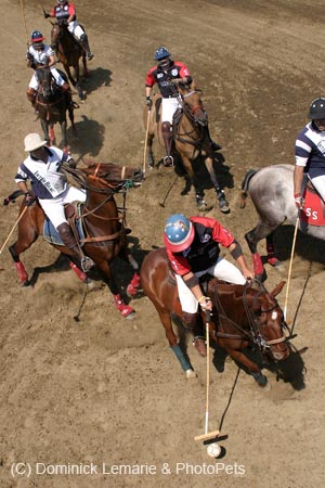 090406-Polo-0586