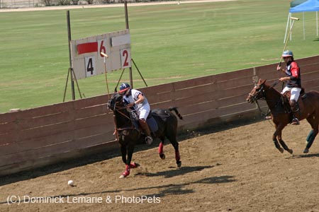 090406-Polo-0587