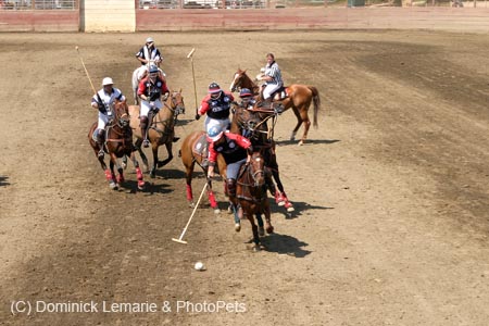 090406-Polo-0589