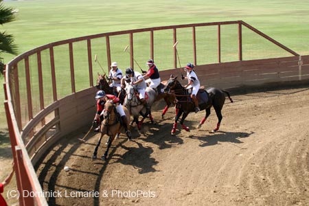 090406-Polo-0592