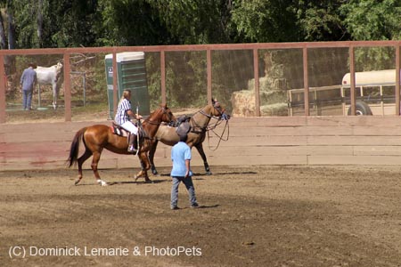 090406-Polo-0593
