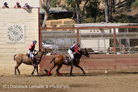 090406-Polo-0594
