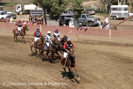 090406-Polo-0597