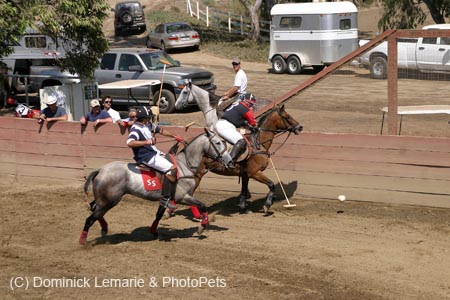 090406-Polo-0602