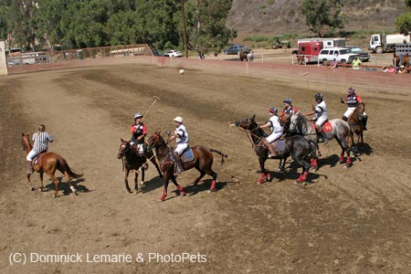090406-Polo-0604